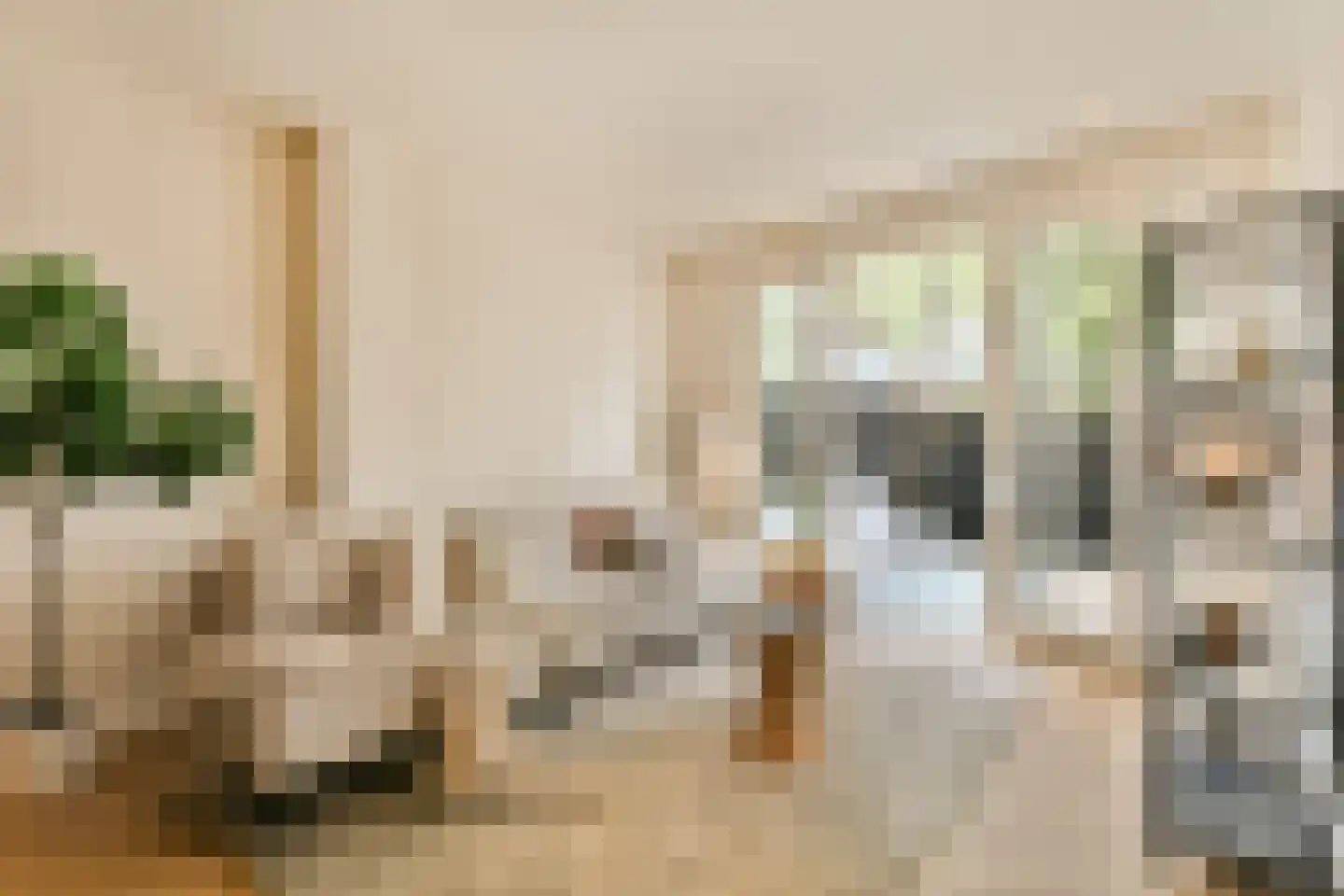 Kribbestraat 46 H Amsterdam thumbnail 4