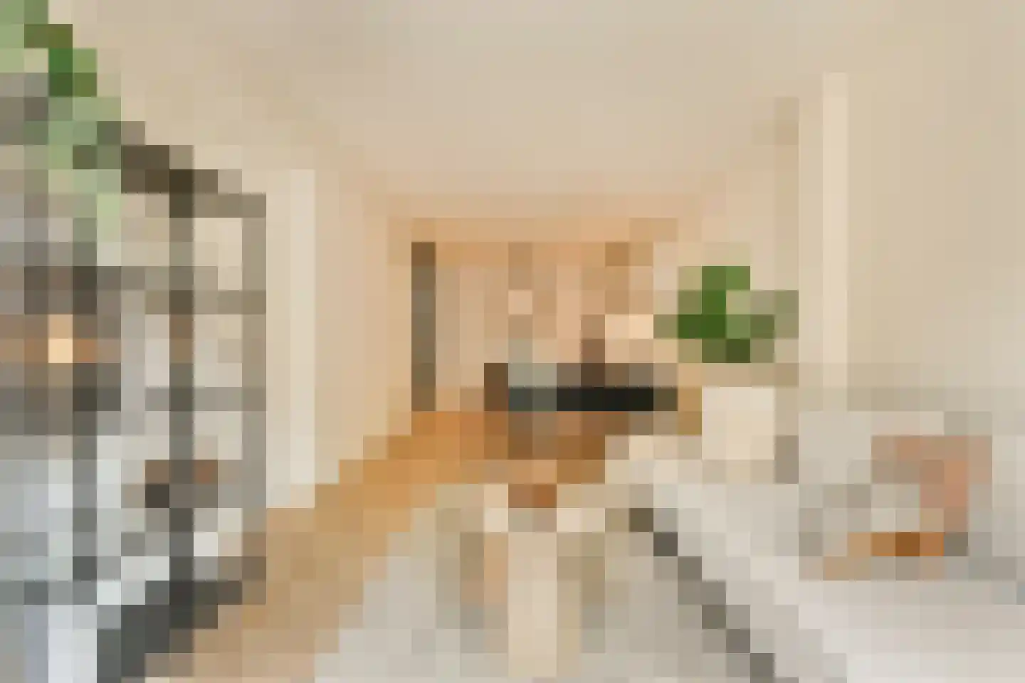 Kribbestraat 46 H Amsterdam thumbnail 5