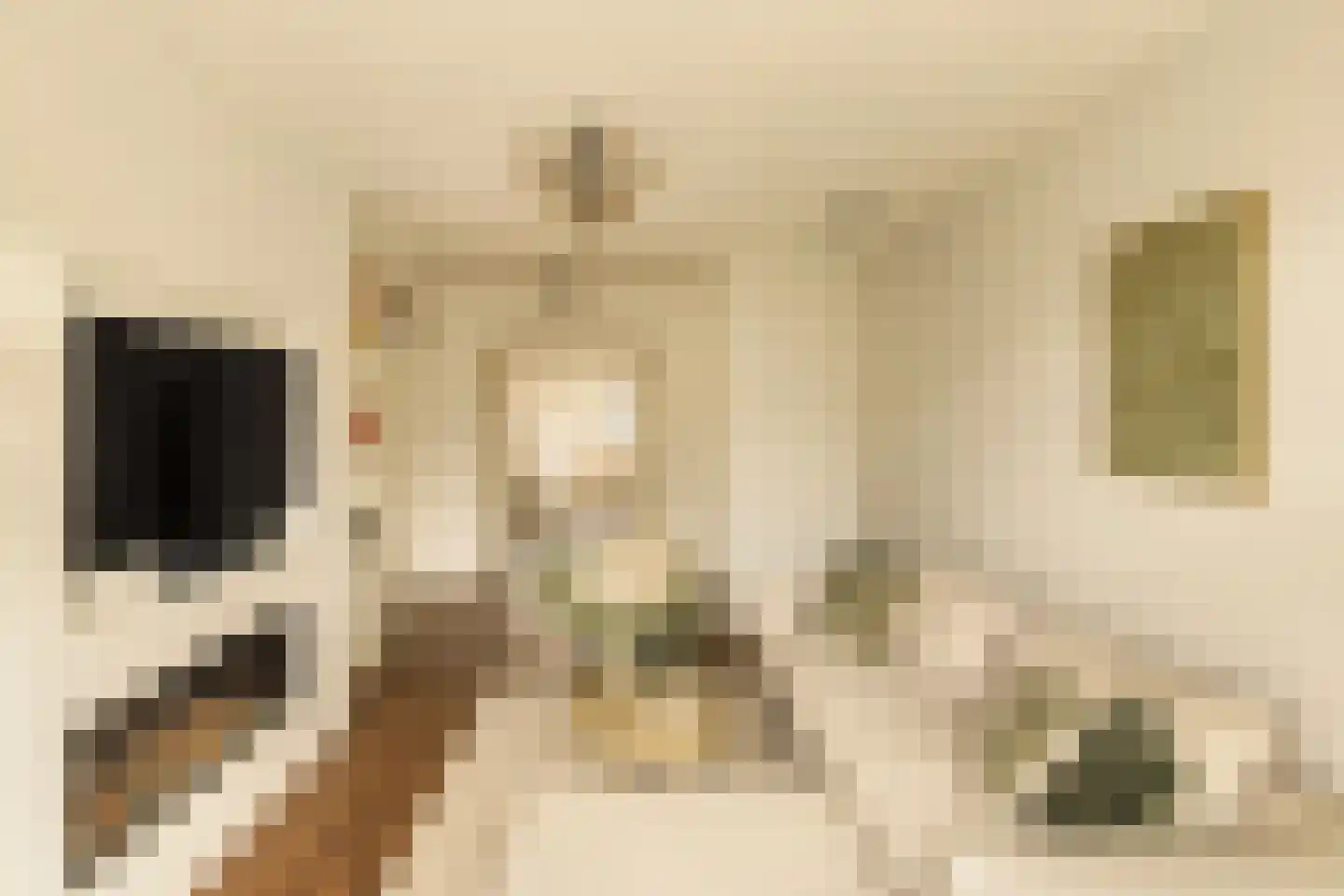 Kribbestraat 52 2 Amsterdam thumbnail 10