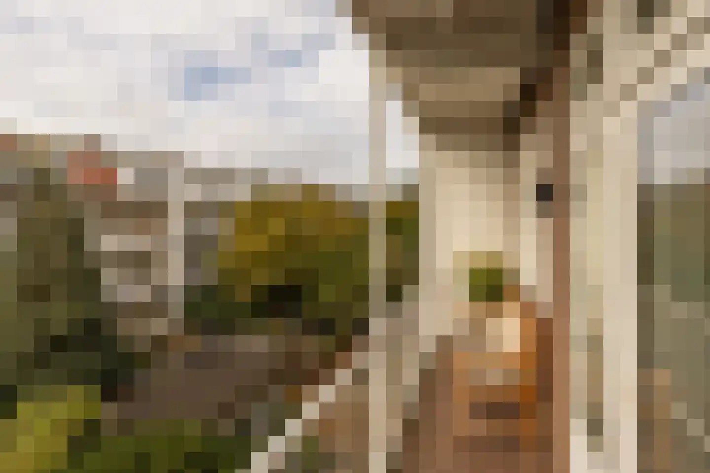 Kribbestraat 52 2 Amsterdam thumbnail 12