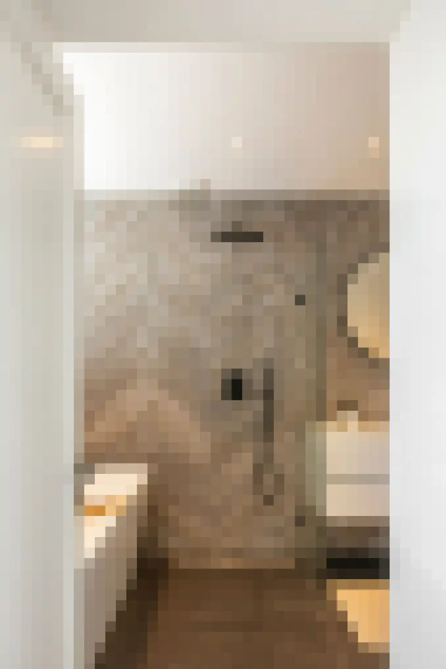 Kribbestraat 52 2 Amsterdam thumbnail 32