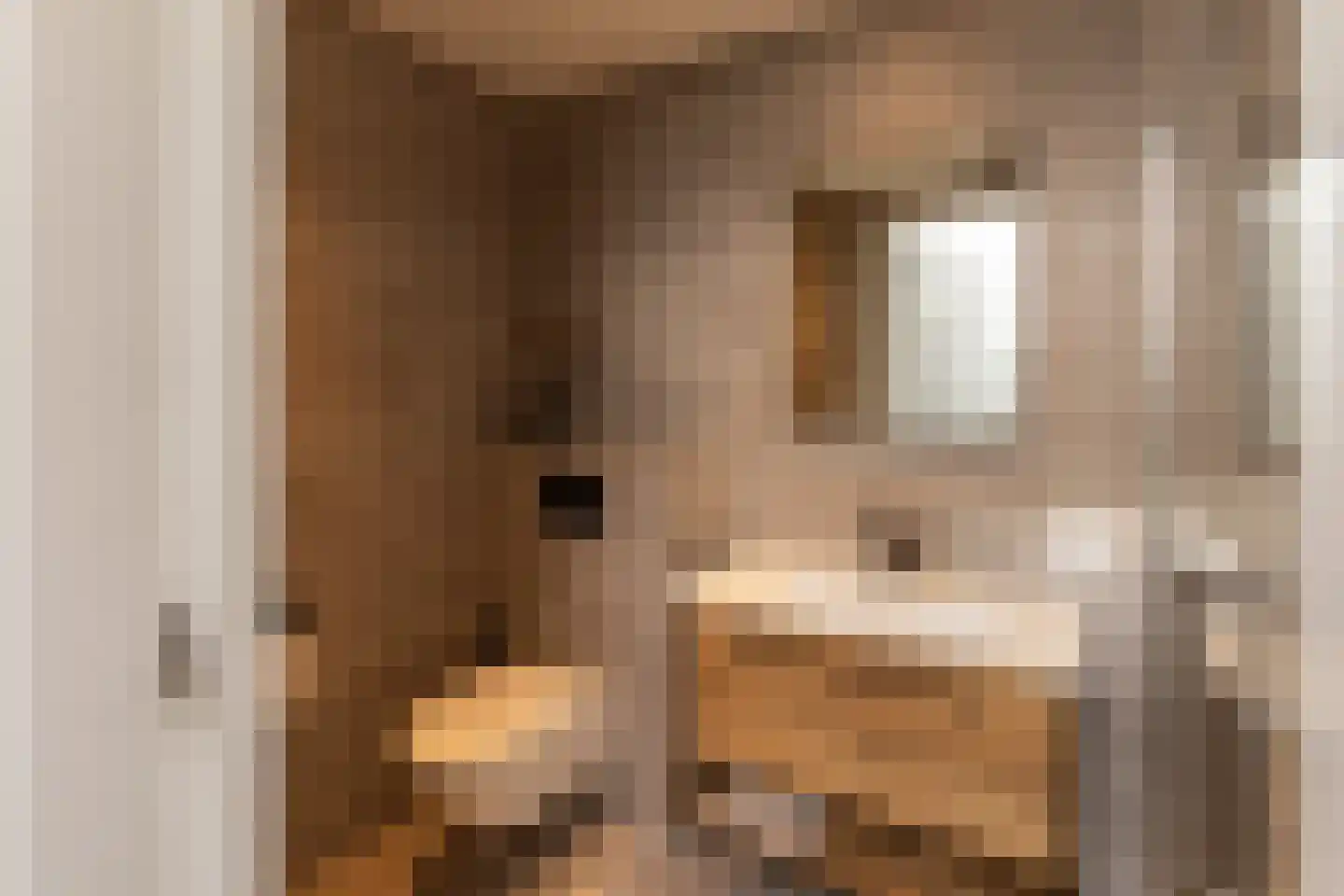 Kribbestraat 52 2 Amsterdam thumbnail 40