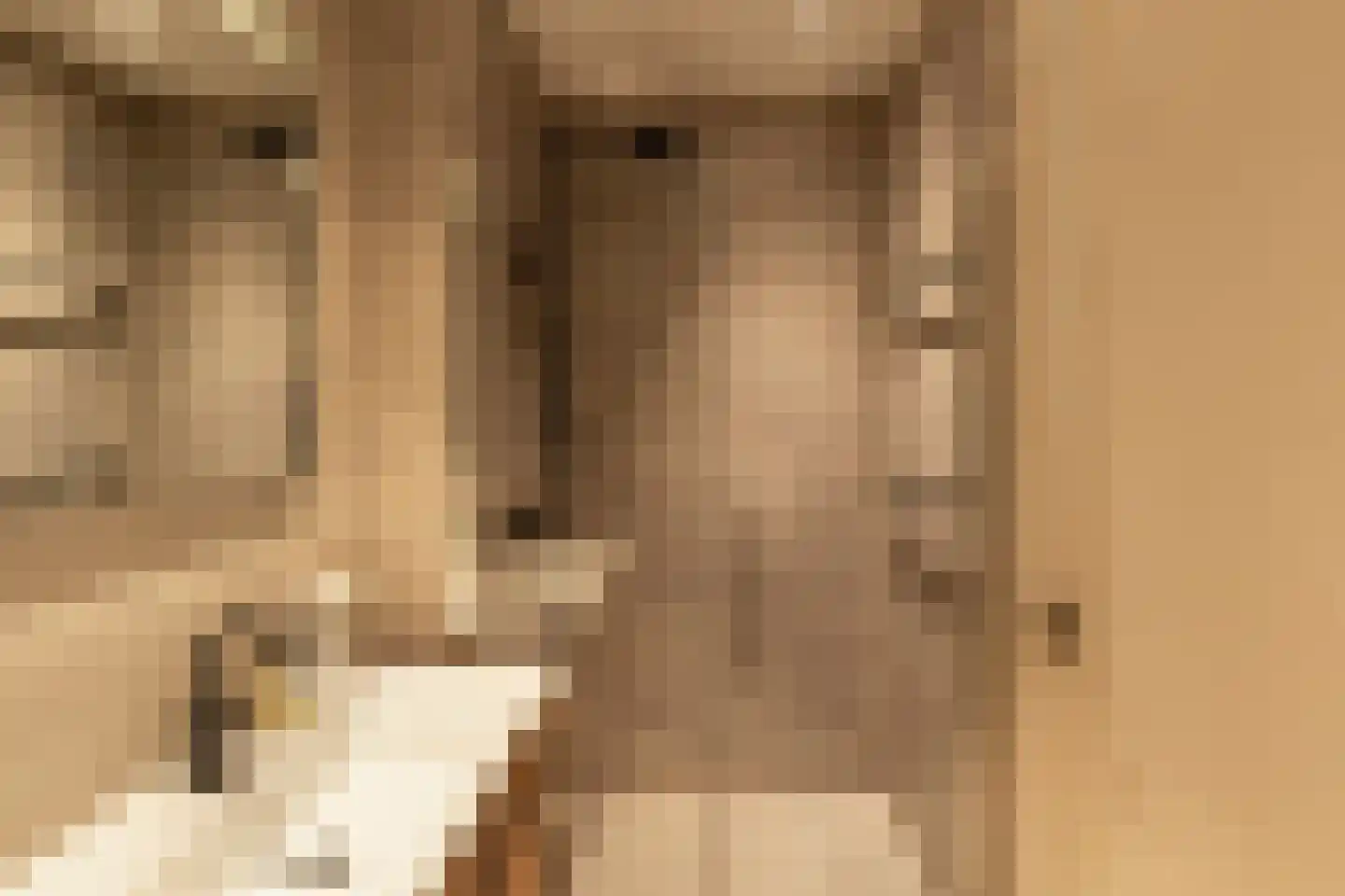 Kribbestraat 52 2 Amsterdam thumbnail 41