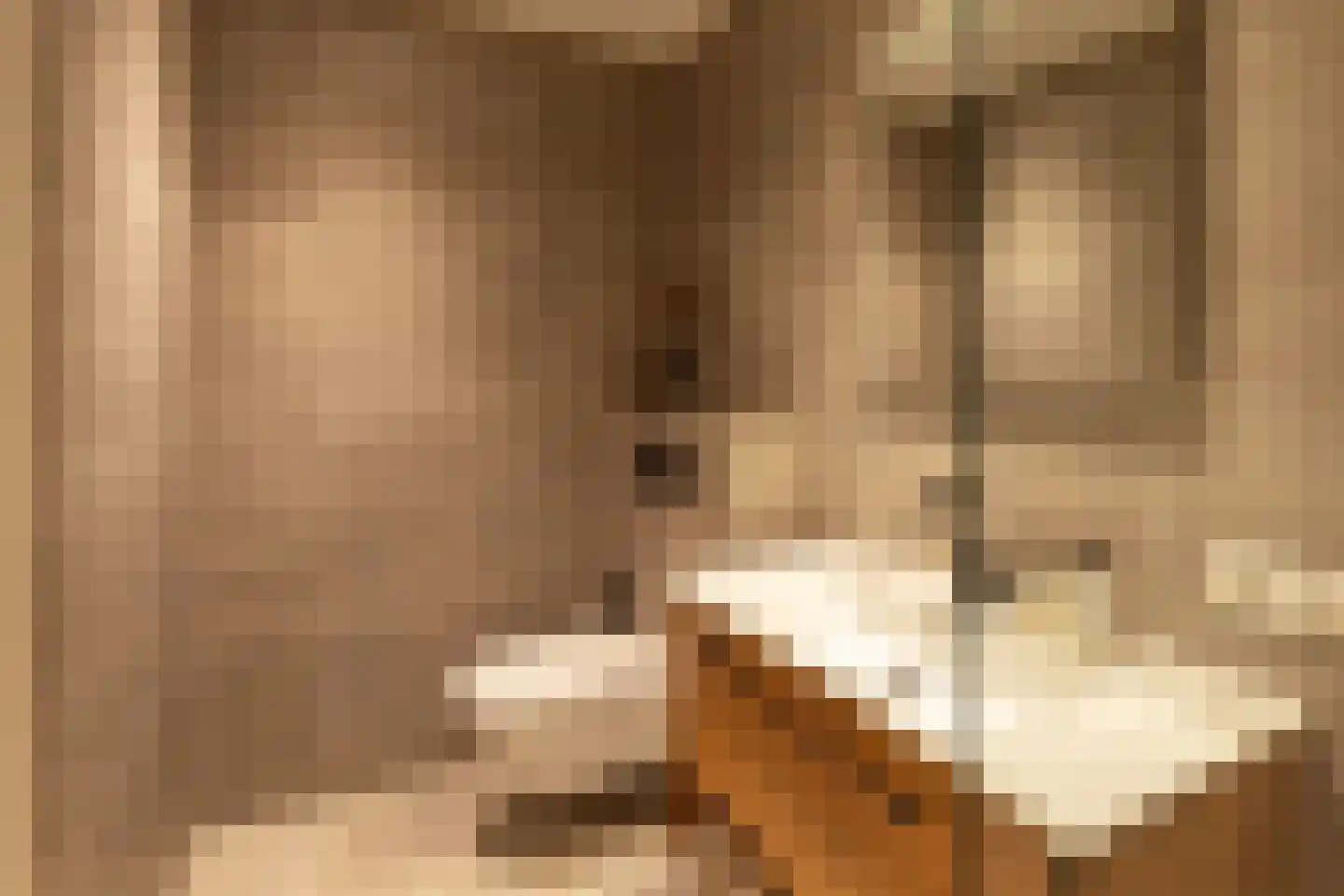 Kribbestraat 52 2 Amsterdam thumbnail 42