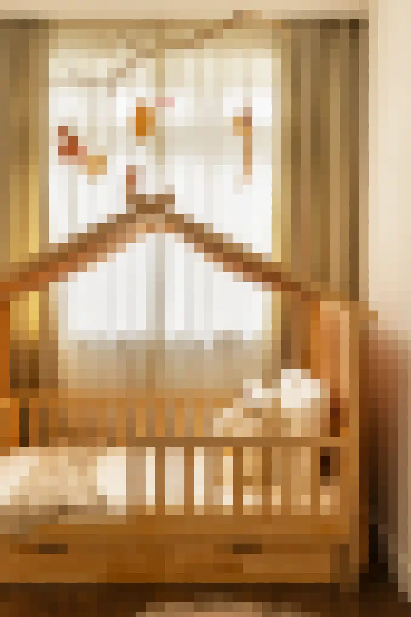 Kribbestraat 52 2 Amsterdam thumbnail 44