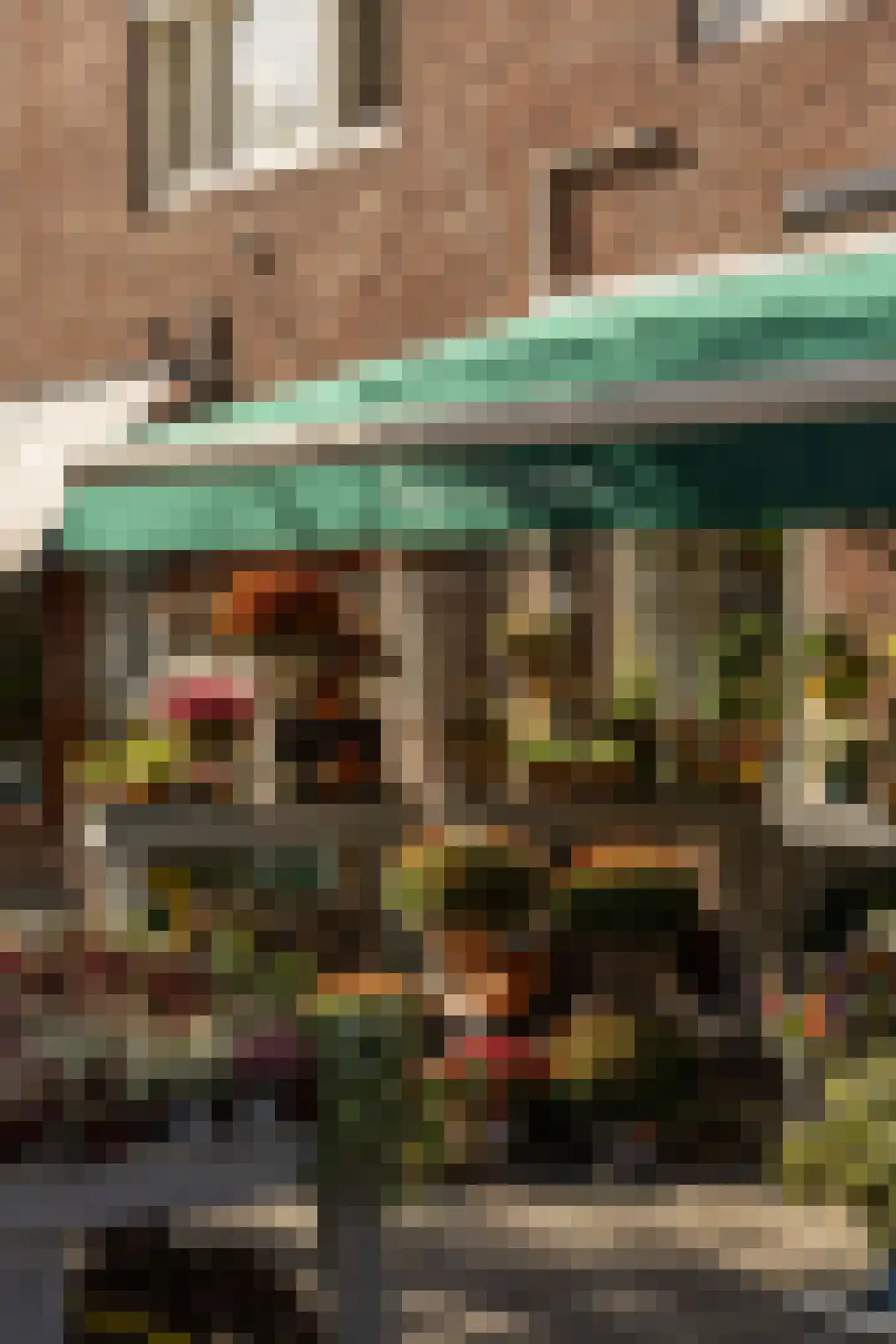 Kribbestraat 52 2 Amsterdam thumbnail 46