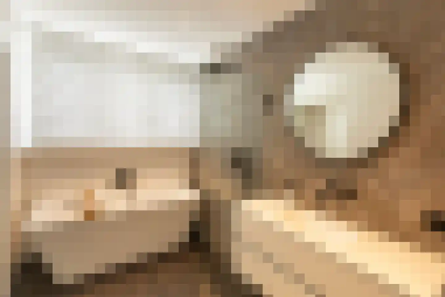 Kribbestraat 52 2 Amsterdam thumbnail 5