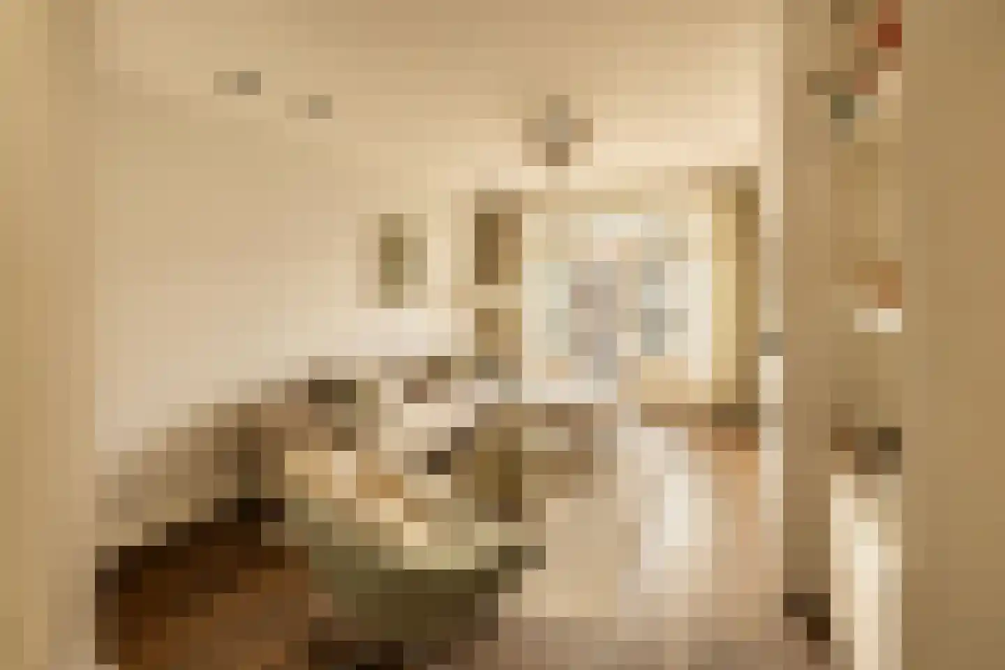 Kribbestraat 52 2 Amsterdam thumbnail 8