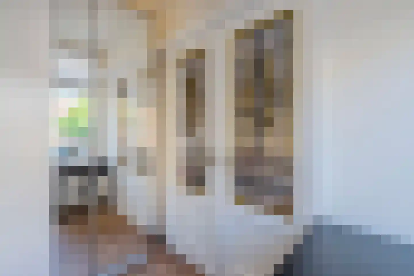 Kribbestraat 53 1 Amsterdam thumbnail 19