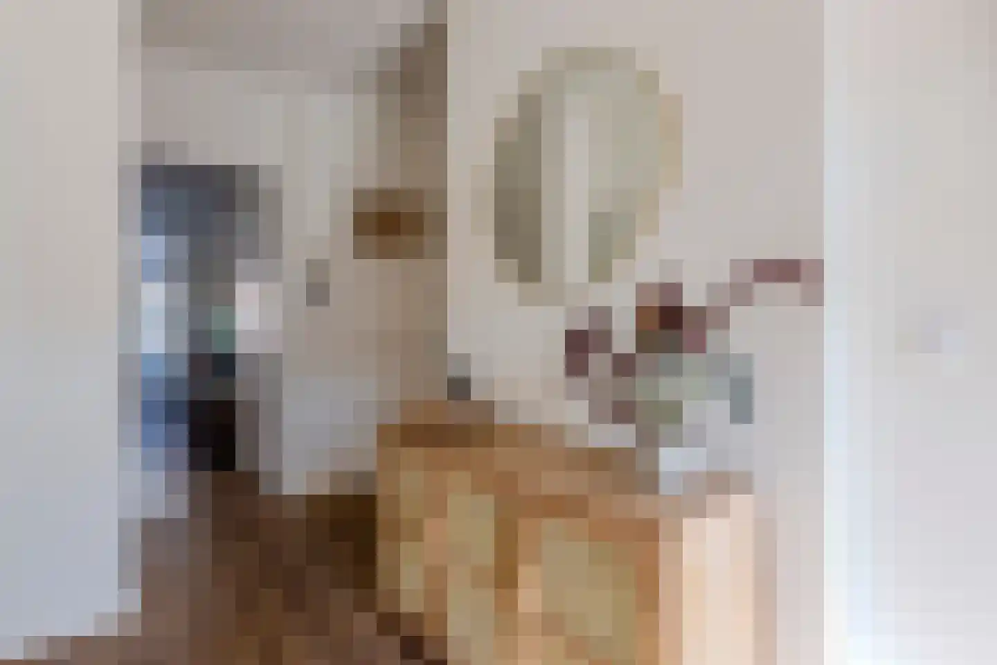 Kribbestraat 53 1 Amsterdam thumbnail 7