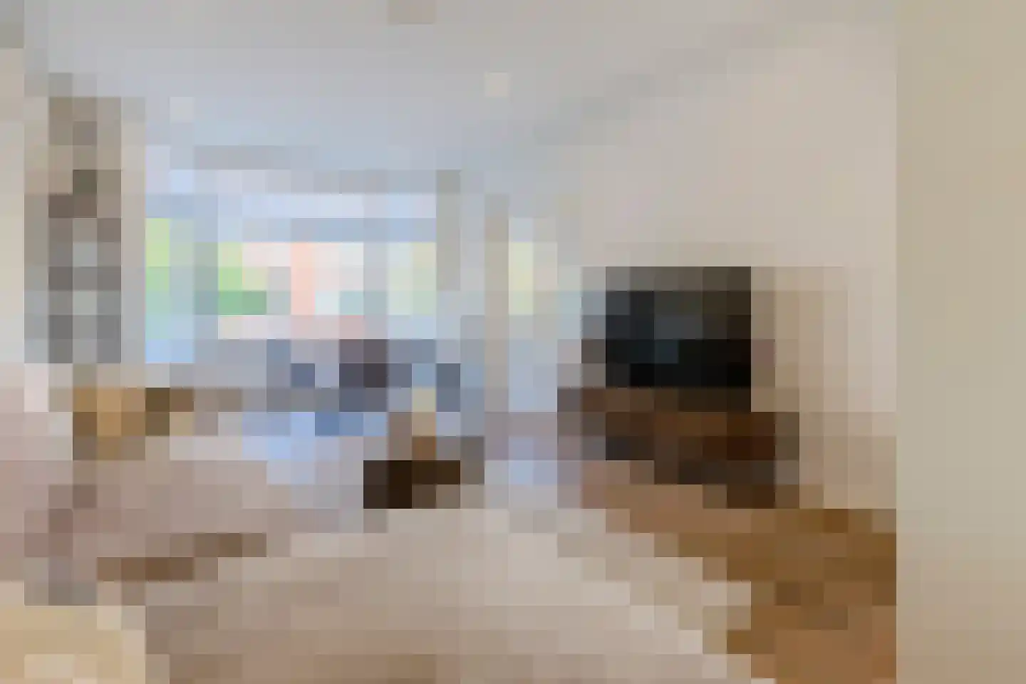 Kribbestraat 53 1 Amsterdam thumbnail 9