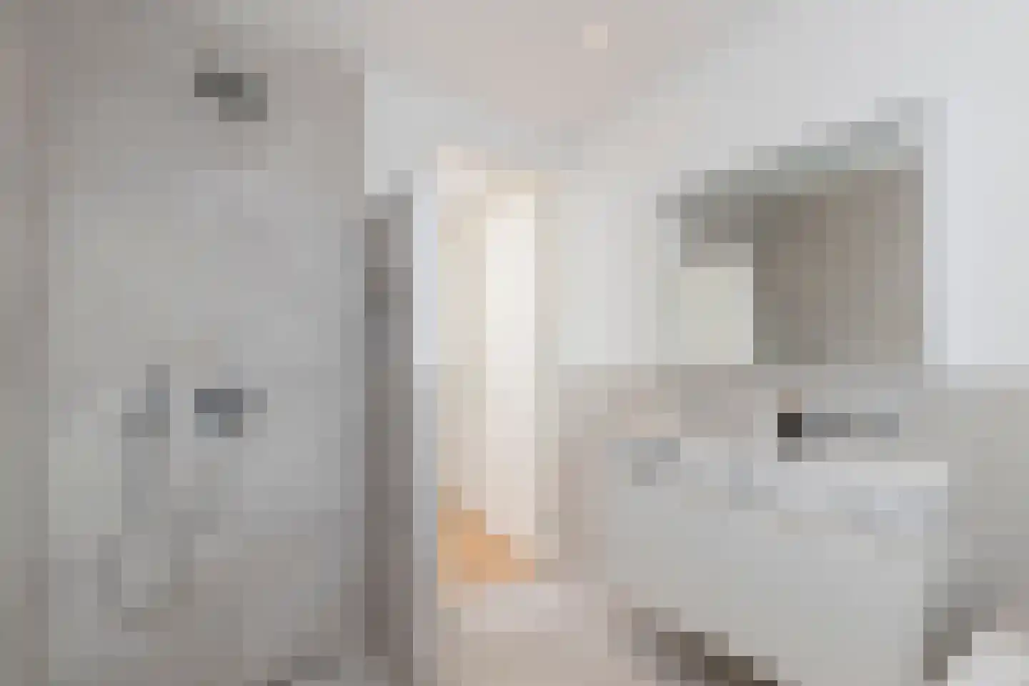Kribbestraat 53 2 Amsterdam thumbnail 27