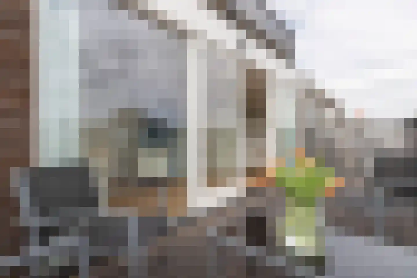 Kribbestraat 53 2 Amsterdam thumbnail 35