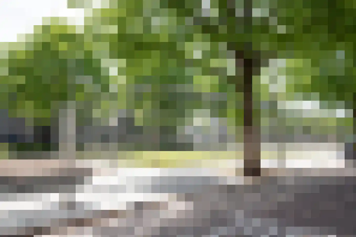 Kribbestraat 53 2 Amsterdam thumbnail 50