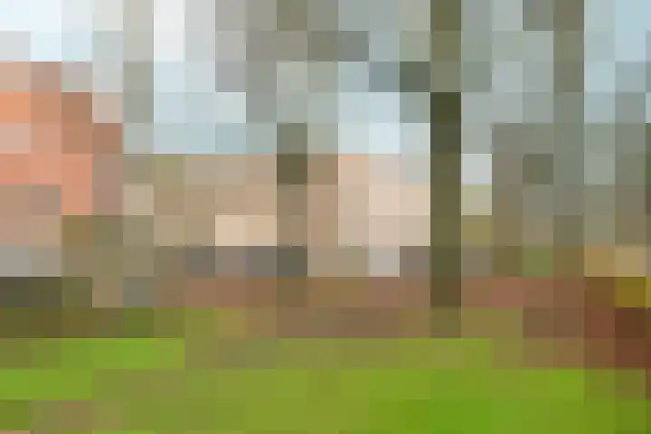 Kribbestraat 58 1 Amsterdam thumbnail 31