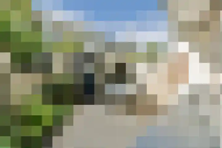 Kribbestraat 58 1 Amsterdam thumbnail 9
