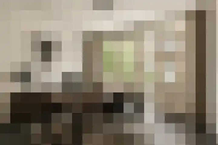 Kribbestraat 8 3 Amsterdam thumbnail 16
