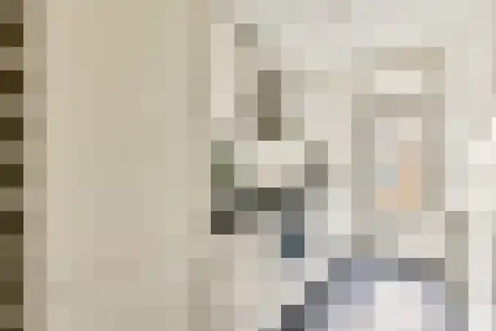 Kribbestraat 8 3 Amsterdam thumbnail 7