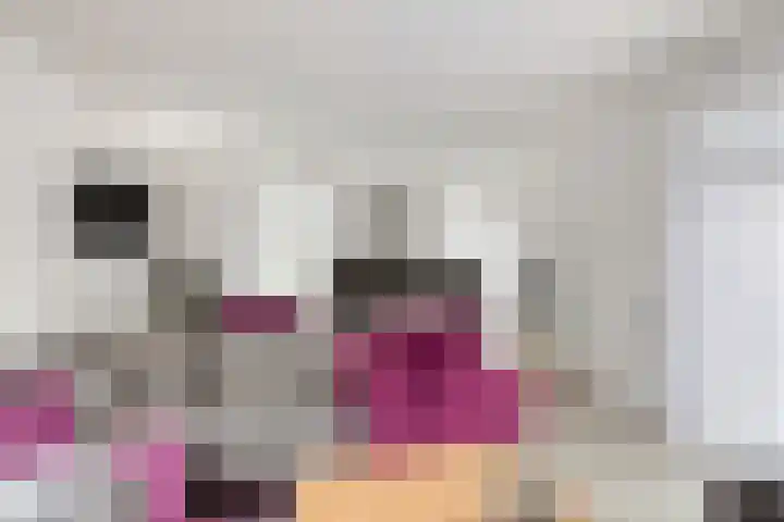 Krichelbergsweg 15 Kerkrade thumbnail 11
