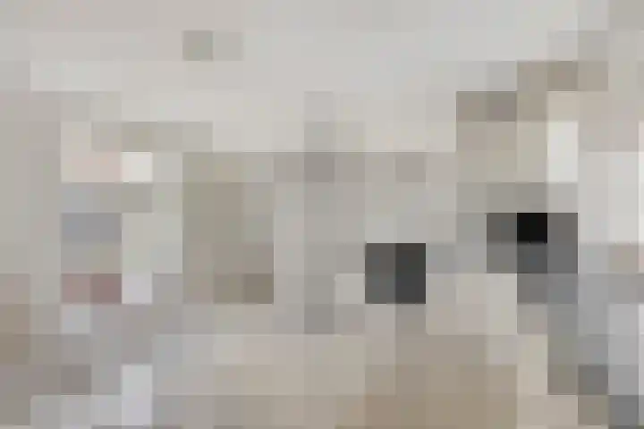 Krichelbergsweg 15 Kerkrade thumbnail 14