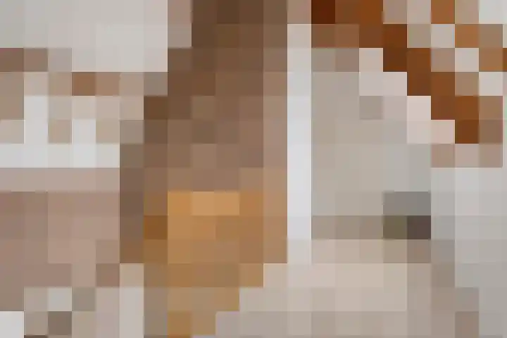Krichelbergsweg 15 Kerkrade thumbnail 18