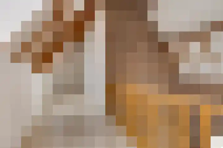 Krichelbergsweg 15 Kerkrade thumbnail 19