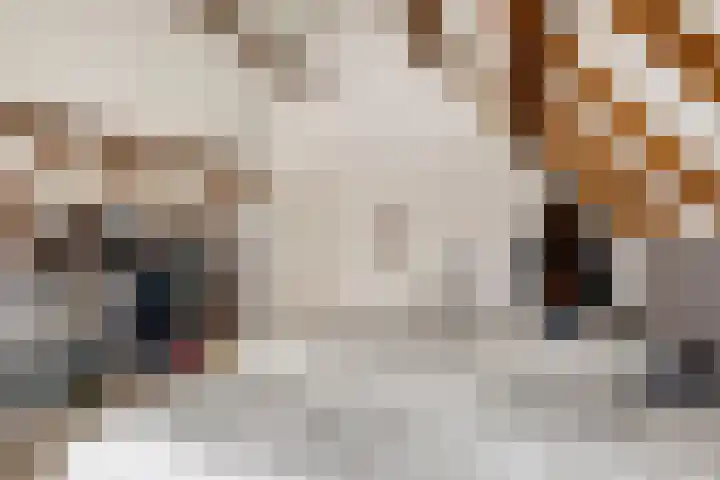 Krichelbergsweg 15 Kerkrade thumbnail 21