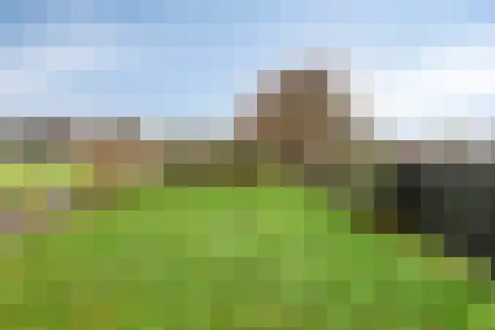 Krichelbergsweg 15 Kerkrade thumbnail 40