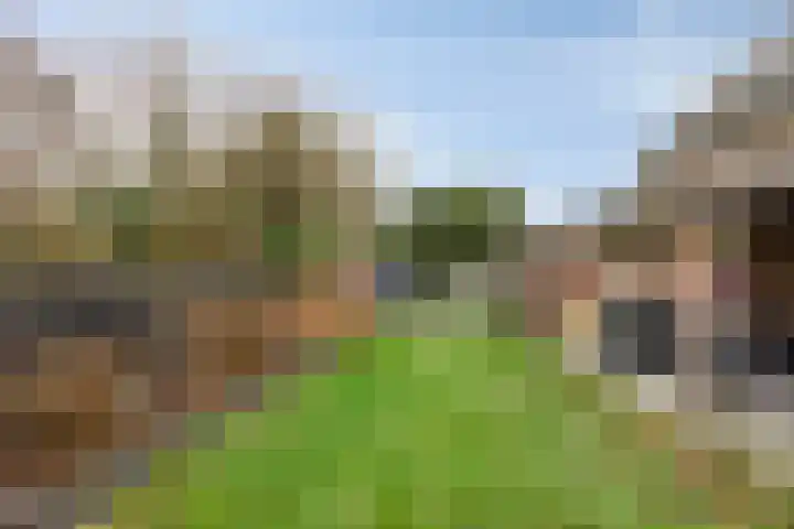 Krichelbergsweg 15 Kerkrade thumbnail 41