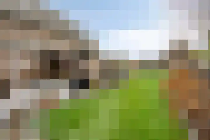 Krichelbergsweg 15 Kerkrade thumbnail 42