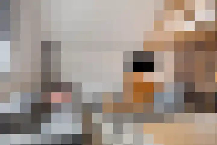 Krichelbergsweg 15 Kerkrade thumbnail 54