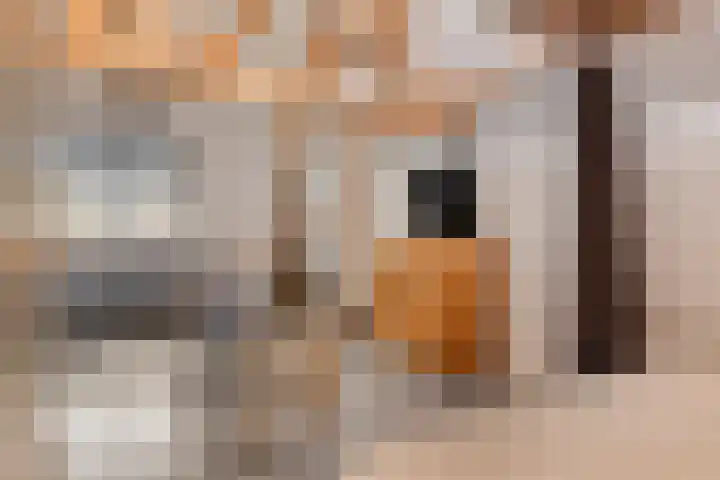 Krichelbergsweg 15 Kerkrade thumbnail 58