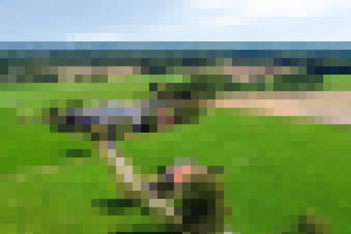 Kriegerdijk 13 Aalten thumbnail 10