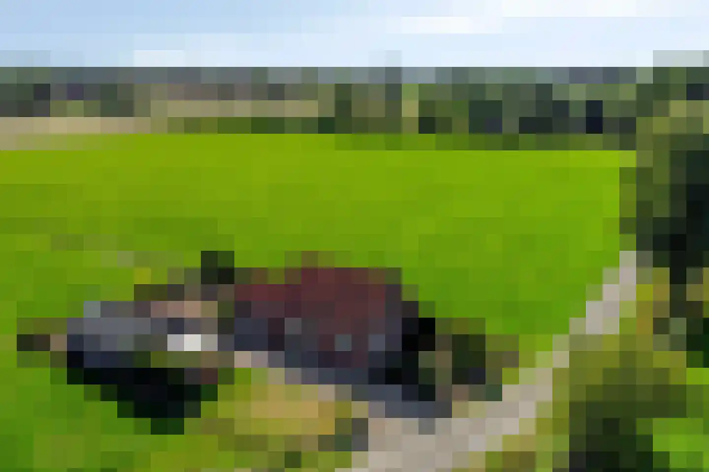 Kriegerdijk 13 Aalten thumbnail 11