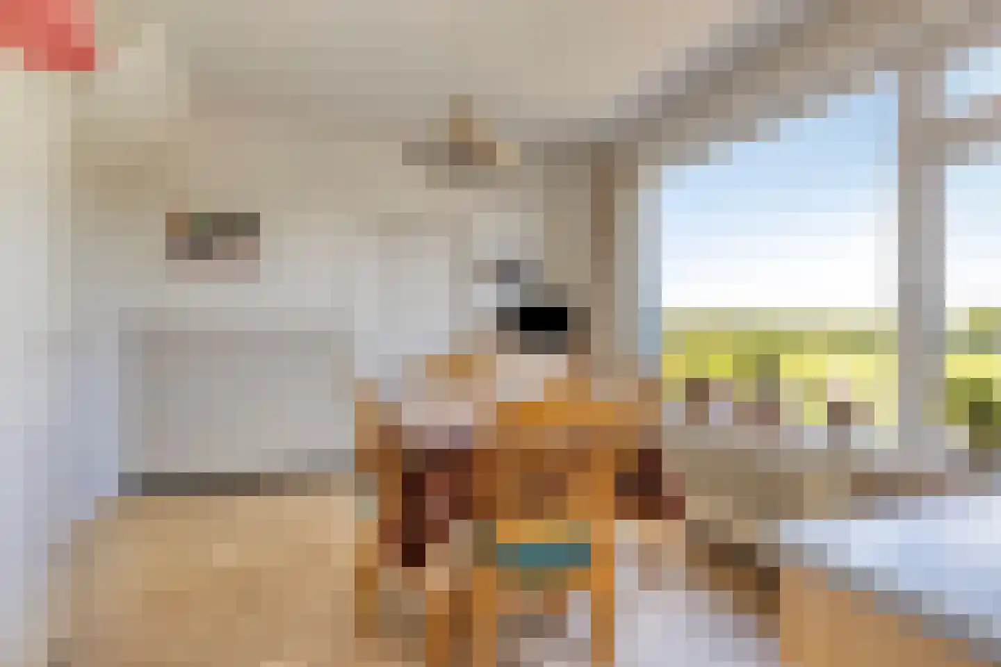 Kriegerdijk 13 Aalten thumbnail 22