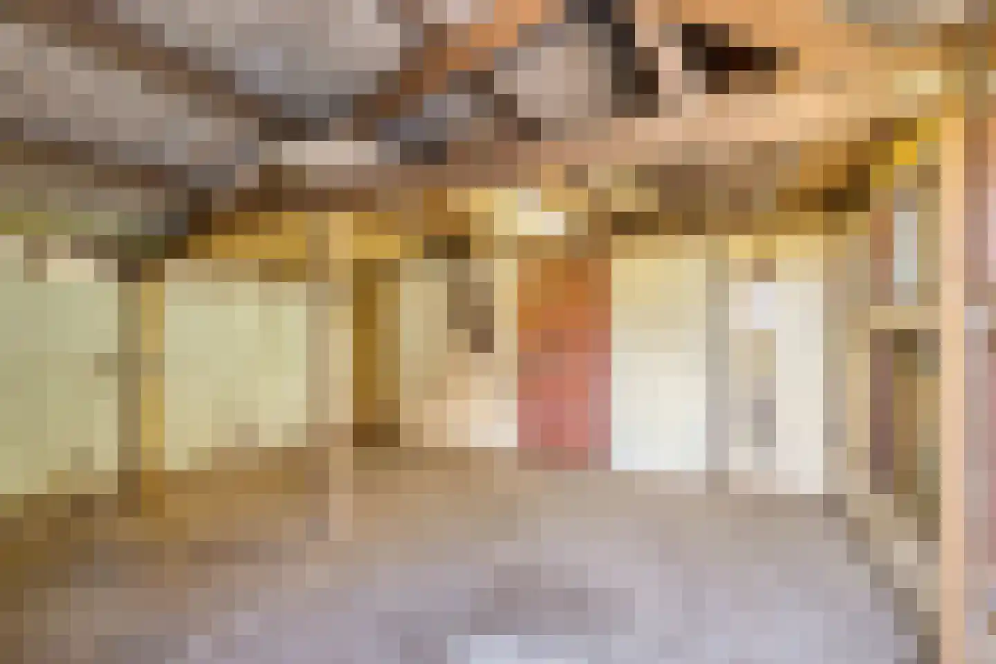 Kriegerdijk 13 Aalten thumbnail 38
