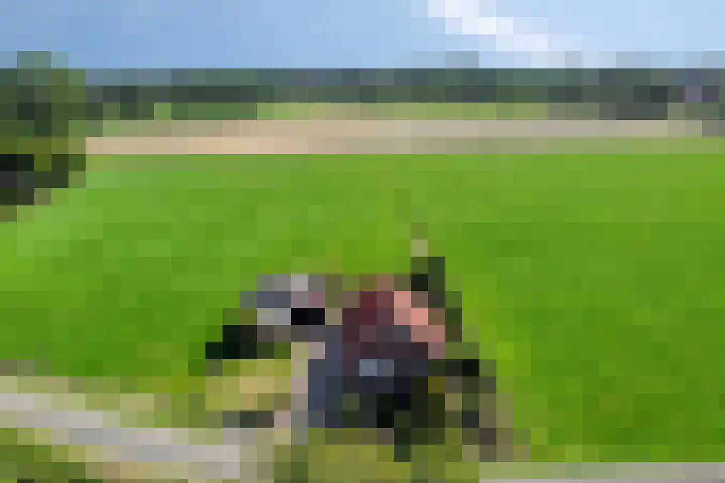 Kriegerdijk 13 Aalten thumbnail 4