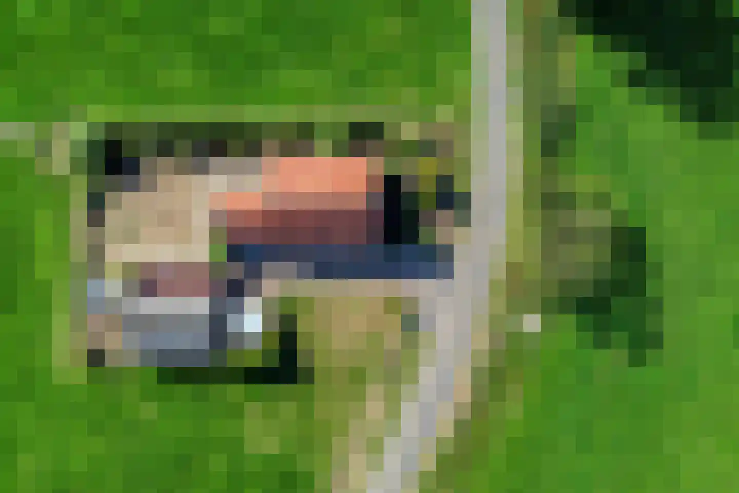 Kriegerdijk 13 Aalten thumbnail 7