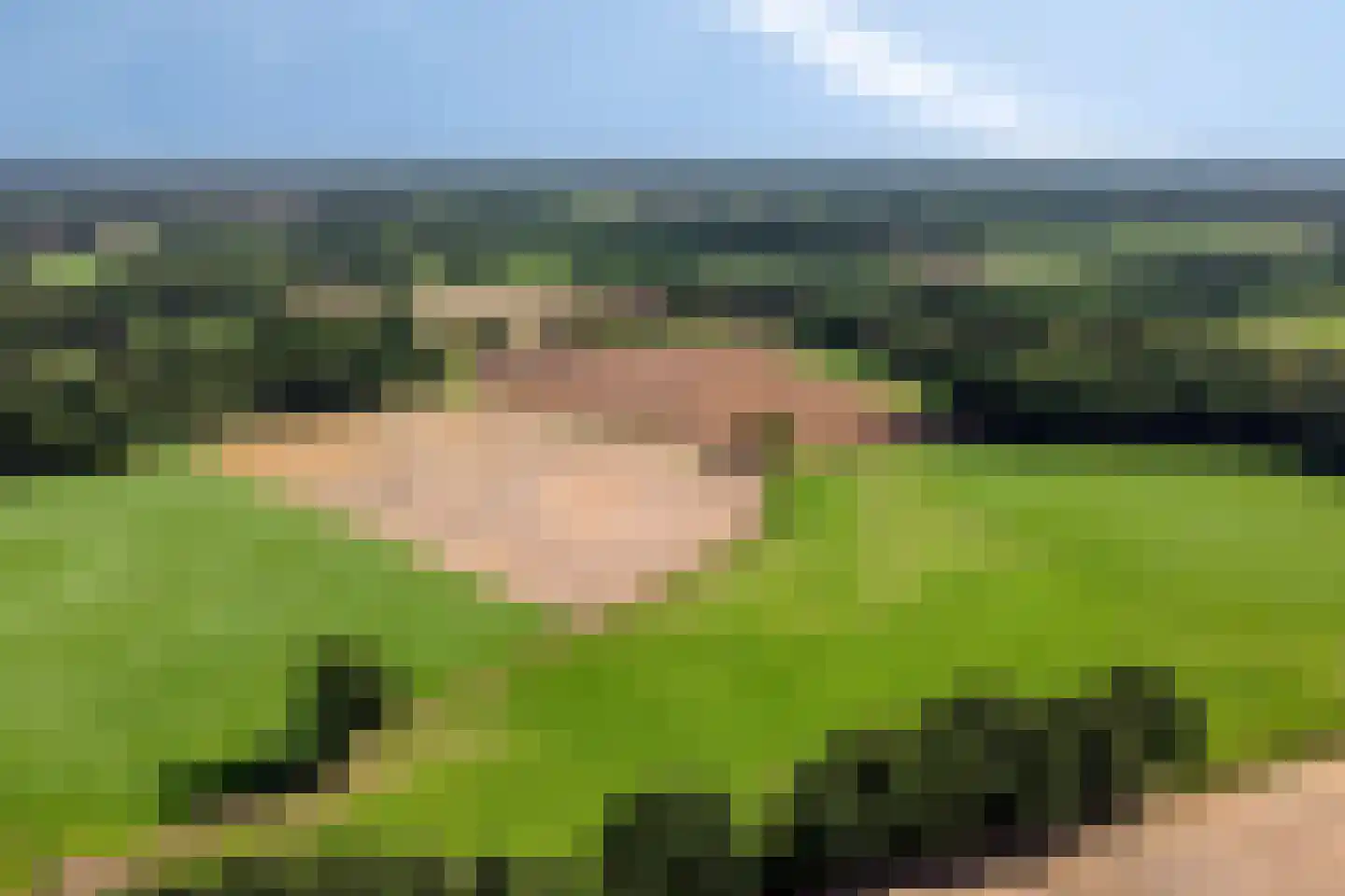 Kriegerdijk 13 Aalten thumbnail 9