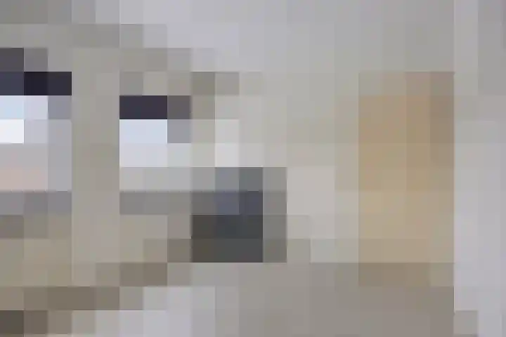 Kriegerstraat 12 Grave thumbnail 11