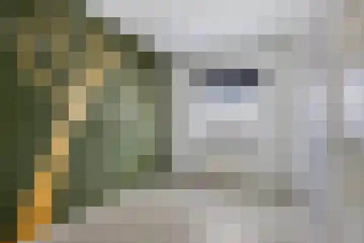 Kriegerstraat 12 Grave thumbnail 12