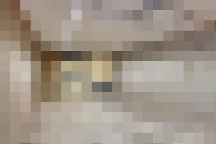 Kriegerstraat 12 Grave thumbnail 18