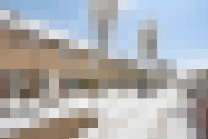 Kriegerstraat 12 Grave thumbnail 20
