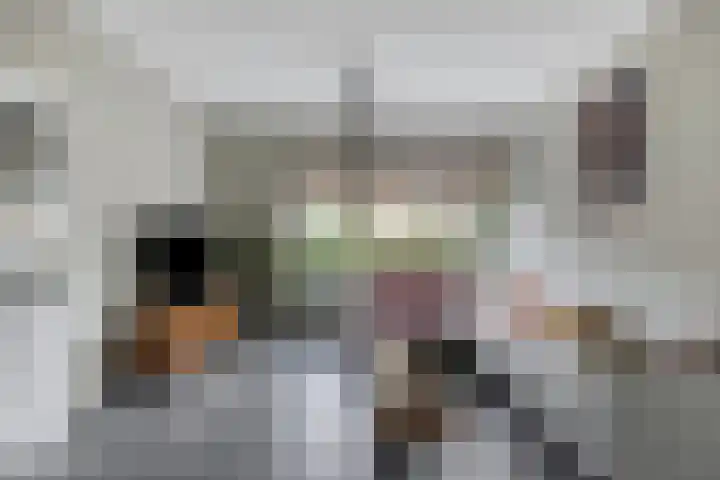 Kriegerstraat 15 Grave thumbnail 12