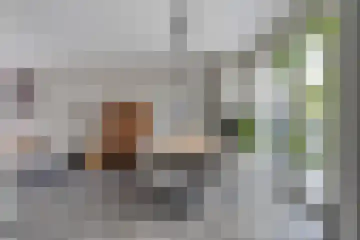 Kriegerstraat 15 Grave thumbnail 13