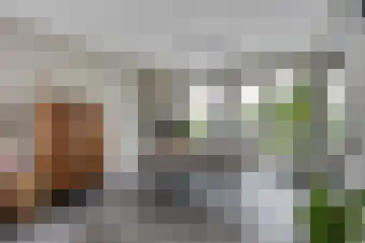 Kriegerstraat 15 Grave thumbnail 15
