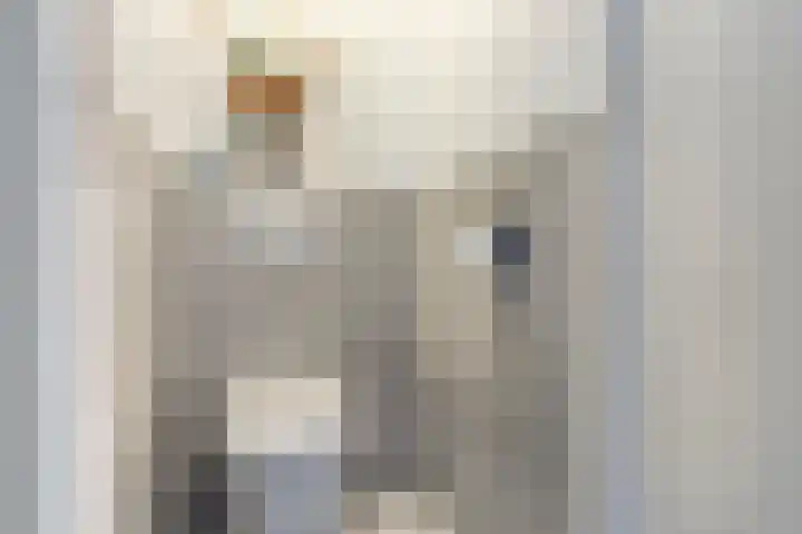 Kriegerstraat 15 Grave thumbnail 18