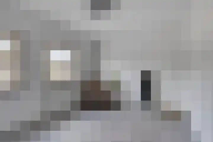 Kriegerstraat 15 Grave thumbnail 22
