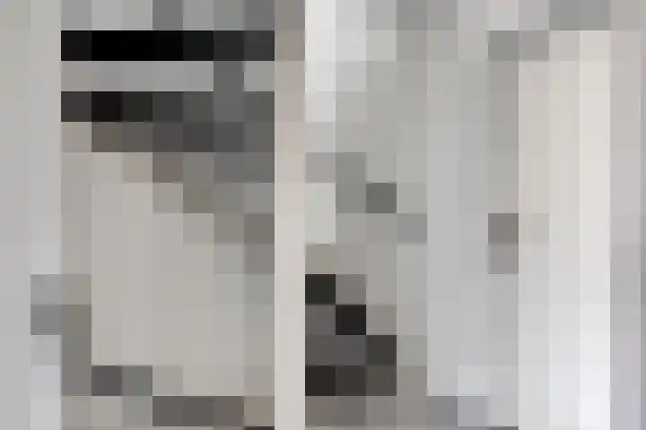 Kriegerstraat 15 Grave thumbnail 29
