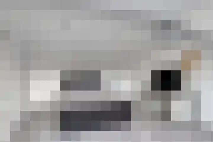 Kriegerstraat 15 Grave thumbnail 32